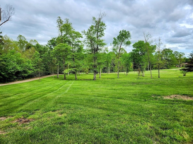 view of grassy yard