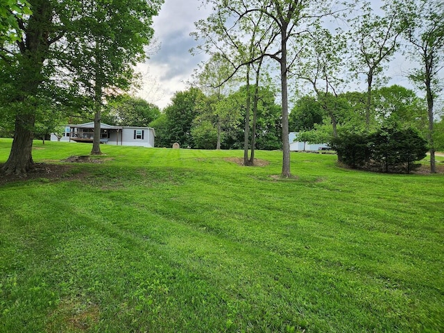 view of green lawn