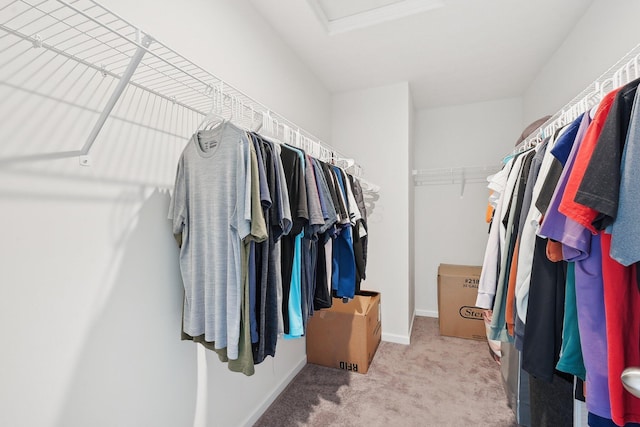 3321 Butternut Ln, Hebron, OH 43025 - walk in closet featuring attic access and carpet flooring