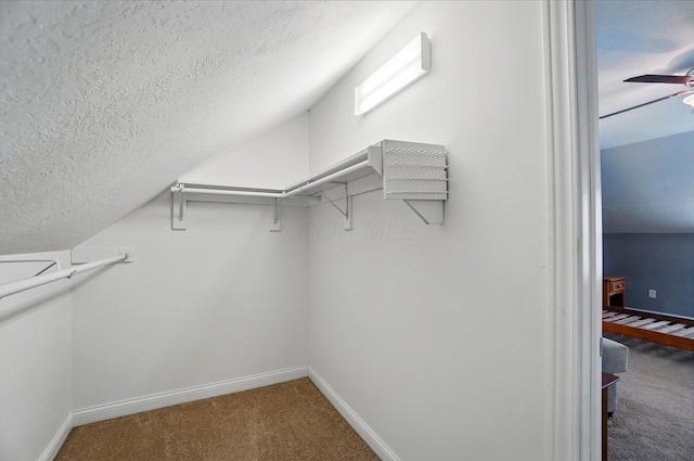 9820 Heimberger Rd NW, Baltimore, OH 43105 - walk in closet with carpet and a ceiling fan