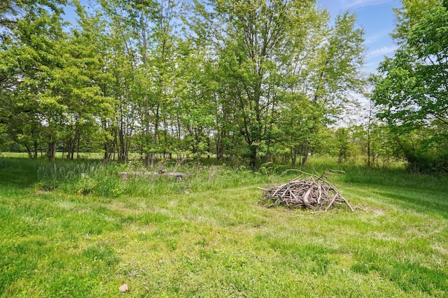 9820 Heimberger Rd NW, Baltimore, OH 43105 - view of yard