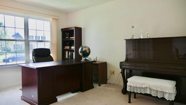 1908 Baltic Ave, Lewis Center, OH 43035 - home office with light carpet