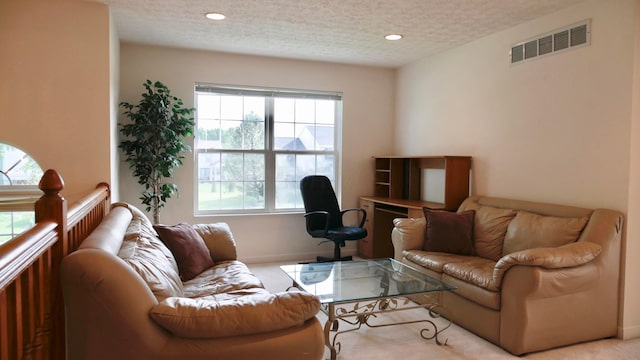 1908 Baltic Ave, Lewis Center, OH 43035 - living room featuring a textured ceiling, baseboards, recessed lighting, and carpet flooring