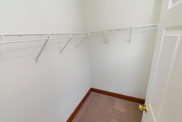 688 Hamlet St, Columbus, OH 43215 - walk in closet featuring dark carpet