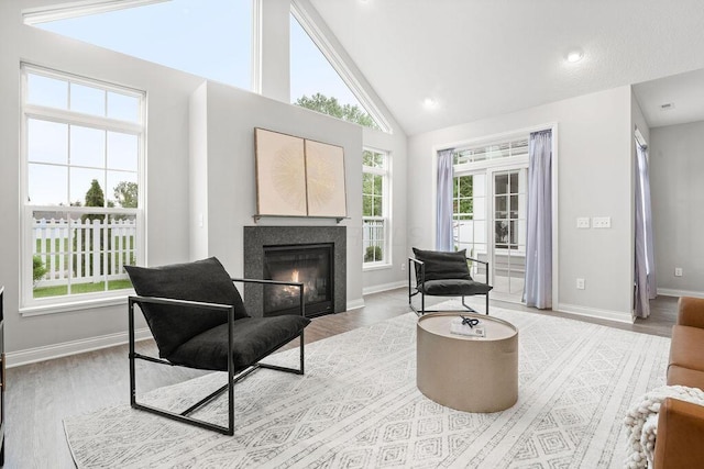 5165 Hamptonshire Dr, Dublin, OH 43016 - living area featuring a glass covered fireplace, high vaulted ceiling, baseboards, and light wood-style floors