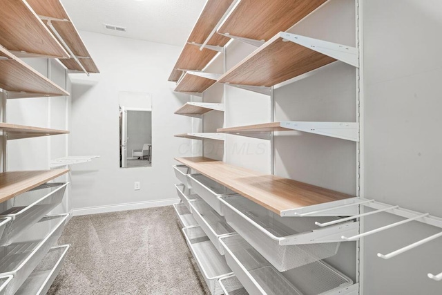 5165 Hamptonshire Dr, Dublin, OH 43016 - spacious closet with carpet
