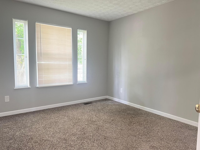 5966 Twin Pine Dr, New Albany, OH 43054 - unfurnished room with a textured ceiling, plenty of natural light, dark carpet, and baseboards