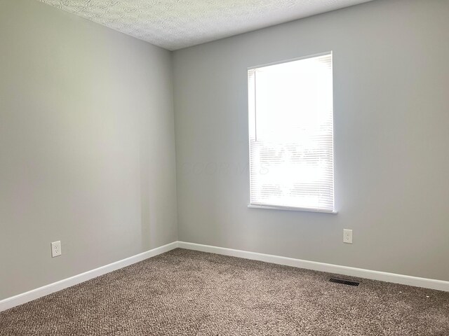 5966 Twin Pine Dr, New Albany, OH 43054 - spare room with carpet flooring, baseboards, and a textured ceiling