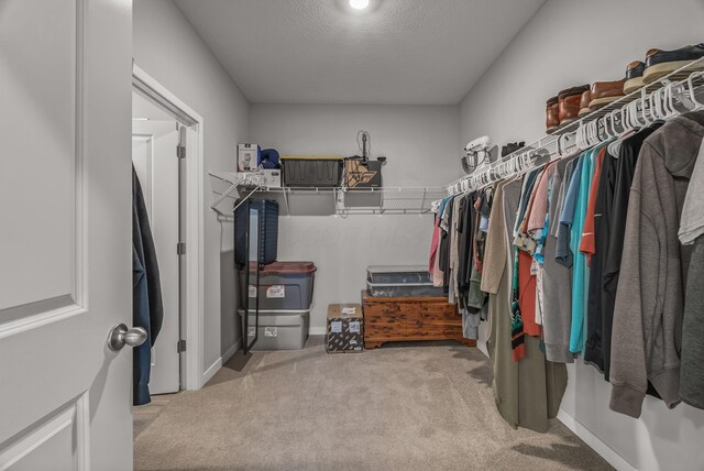 759 Abby Dr, Plain City, OH 43064 - spacious closet featuring carpet