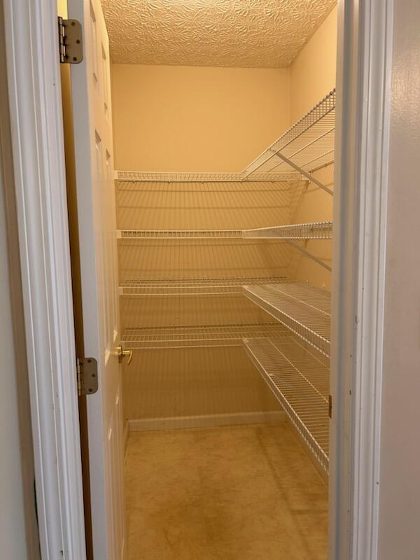 6855 Falcon Ln Unit 4A, Canal Winchester, OH 43110 - view of pantry