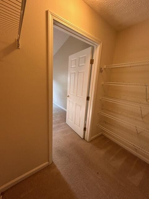 6855 Falcon Ln Unit 4A, Canal Winchester, OH 43110 - corridor featuring carpet floors, baseboards, and a textured ceiling