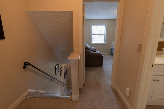5392 Ponderosa Dr, Columbus, OH 43231 - stairs with carpet, a textured ceiling, and baseboards