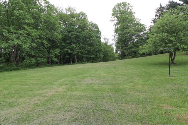 1266 Hanley Rd W, Mansfield, OH 44903 - view of green lawn