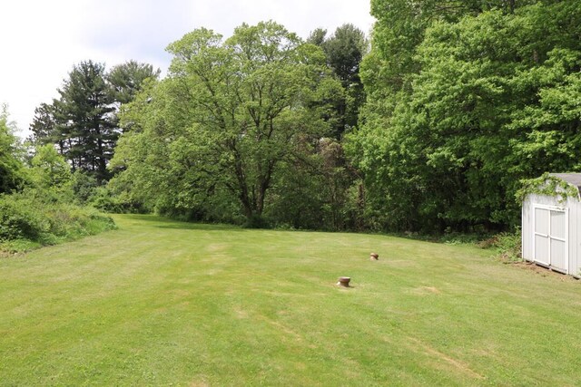 1266 Hanley Rd W, Mansfield, OH 44903 - view of grassy yard featuring a shed and an outbuilding