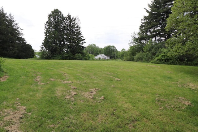 1266 Hanley Rd W, Mansfield, OH 44903 - view of green lawn