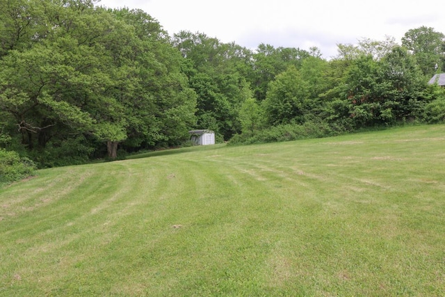 1266 Hanley Rd W, Mansfield, OH 44903 - view of grassy yard with a storage unit and an outbuilding