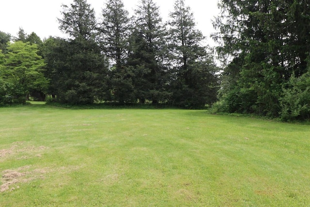 1266 Hanley Rd W, Mansfield, OH 44903 - view of green lawn