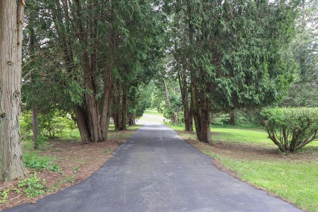 1266 Hanley Rd W, Mansfield, OH 44903 - view of road