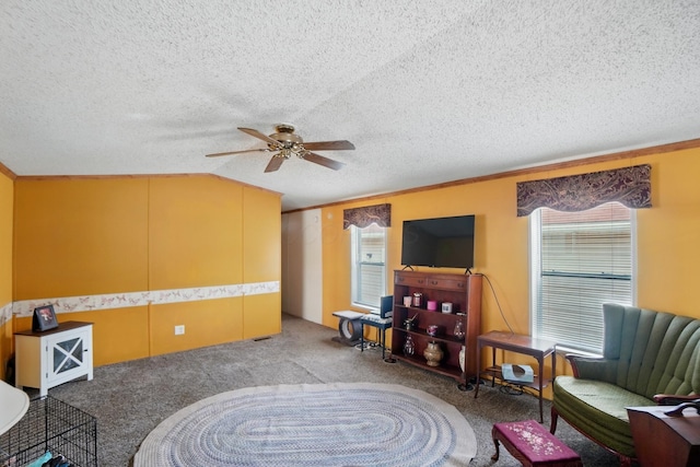 3200 Smeltzer Rd Unit 90, Marion, OH 43302 - sitting room featuring ceiling fan, carpet floors, a textured ceiling, and vaulted ceiling