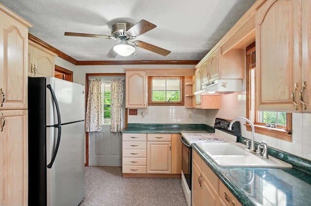 5870 Brook Rd NW, Baltimore, OH 43105 - kitchen with freestanding refrigerator, electric range oven, light brown cabinetry, healthy amount of natural light, and crown molding