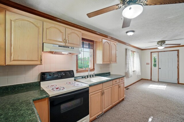 5870 Brook Rd NW, Baltimore, OH 43105 - kitchen featuring under cabinet range hood, range with electric cooktop, a ceiling fan, light brown cabinetry, and ornamental molding
