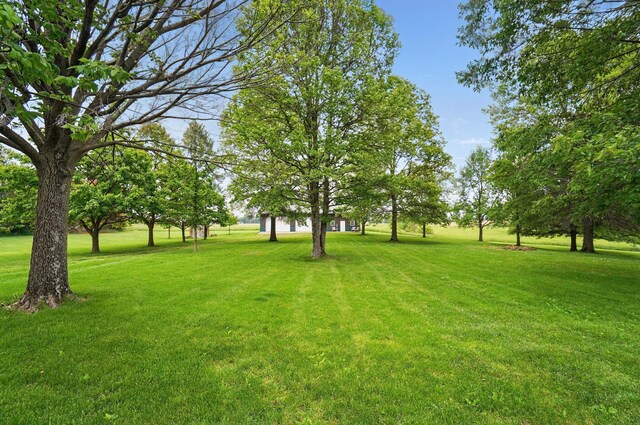 5870 Brook Rd NW, Baltimore, OH 43105 - view of green lawn