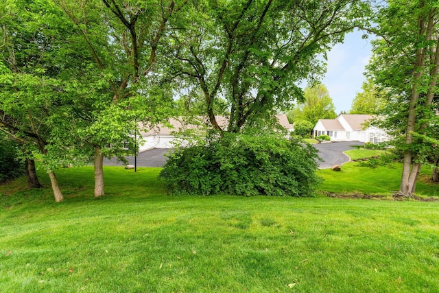 308 Postage Cir, Pickerington, OH 43147 - view of grassy yard