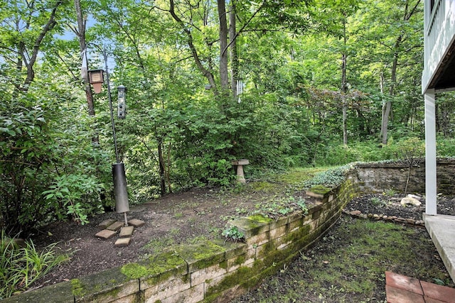 1223 Sanctuary Pl, Columbus, OH 43230 - view of yard