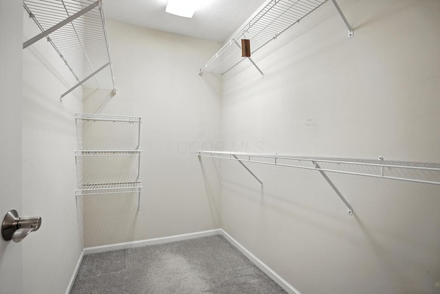 1223 Sanctuary Pl, Columbus, OH 43230 - spacious closet featuring carpet
