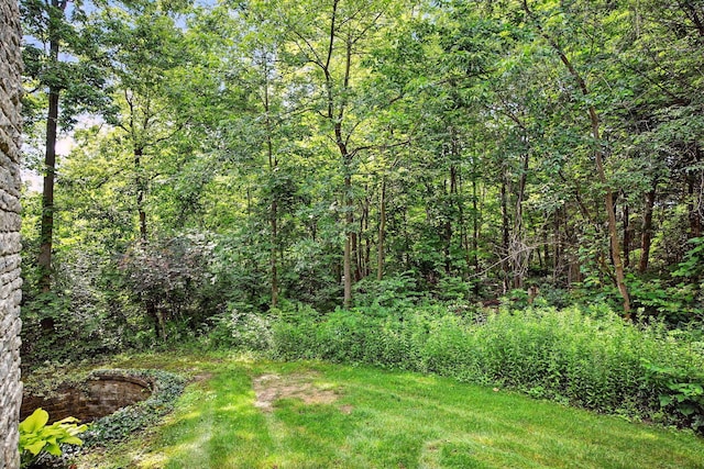 1223 Sanctuary Pl, Columbus, OH 43230 - view of yard featuring a wooded view
