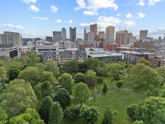 382 E Town St, Columbus, OH 43215 - view of city skyline with a tree filled landscape
