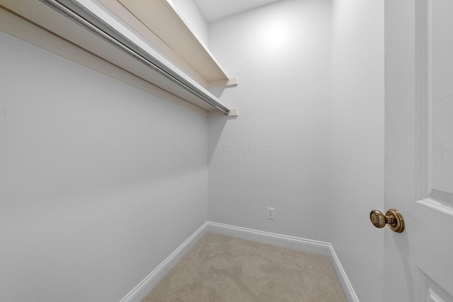 382 E Town St, Columbus, OH 43215 - walk in closet with light carpet