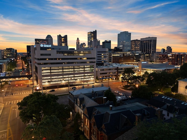 382 E Town St, Columbus, OH 43215 - skyline view
