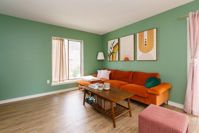 277 Lear St Unit 11, Columbus, OH 43206 - living room featuring baseboards and wood finished floors