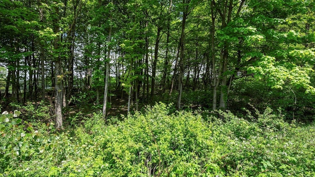 2971 Lancaster Rd, Granville, OH 43023