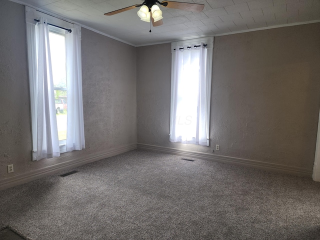 7703 County Road 91, Lewistown, OH 43333 - spare room with crown molding, a ceiling fan, carpet flooring, baseboards, and a textured wall