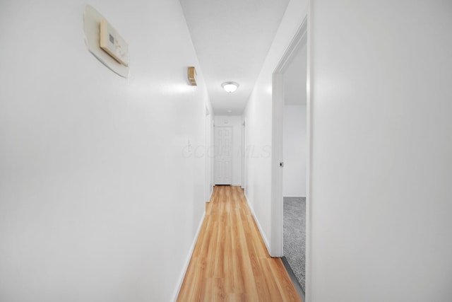 4861 Warminster Dr, Columbus, OH 43232 - corridor with light wood-style flooring and baseboards