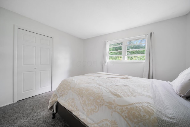 4861 Warminster Dr, Columbus, OH 43232 - view of carpeted bedroom