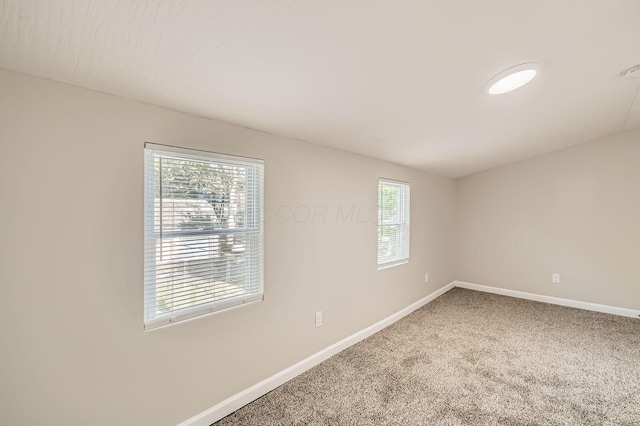 carpeted empty room with healthy amount of natural light and baseboards
