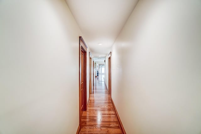 13742 State Rte 41, Jeffersonville, OH 43128 - corridor with light wood finished floors and baseboards