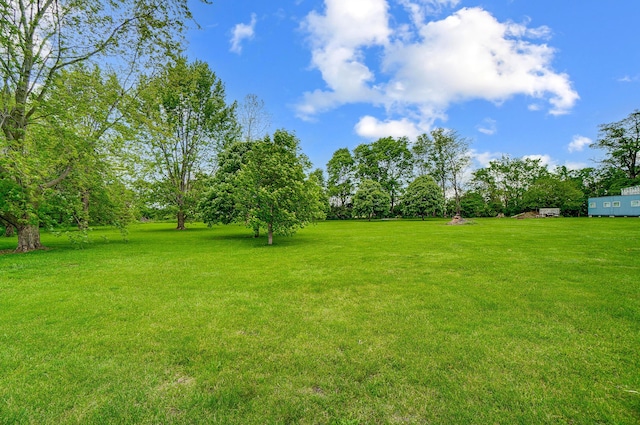 13742 State Rte 41, Jeffersonville, OH 43128 - view of green lawn
