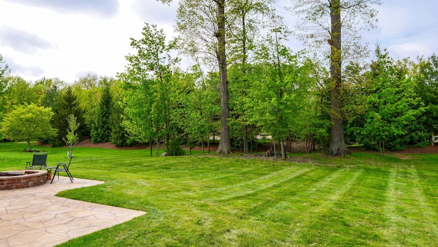 21252 Breckenridge Ln, Strongsville, OH 44149 - view of grassy yard with an outdoor fire pit, a patio area, and view of scattered trees