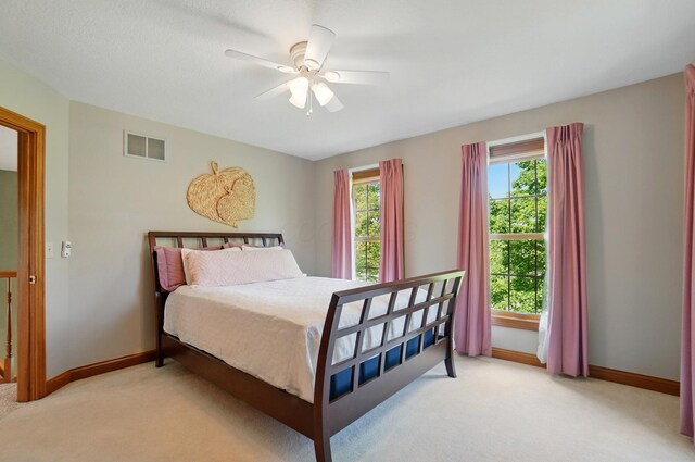 9314 Cheshire Rd, Sunbury, OH 43074 - photo 61