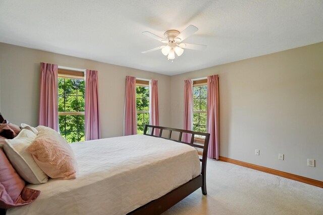 9314 Cheshire Rd, Sunbury, OH 43074 - photo 62