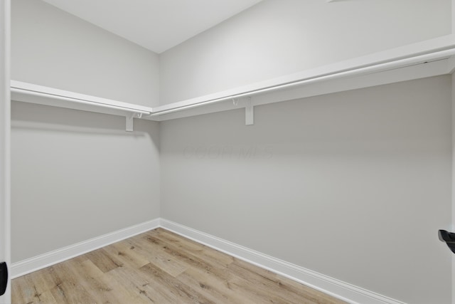 walk in closet with light wood-style floors