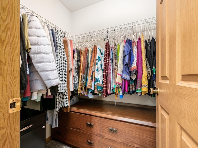 5292 Winters Run Rd, Dublin, OH 43016 - view of spacious closet
