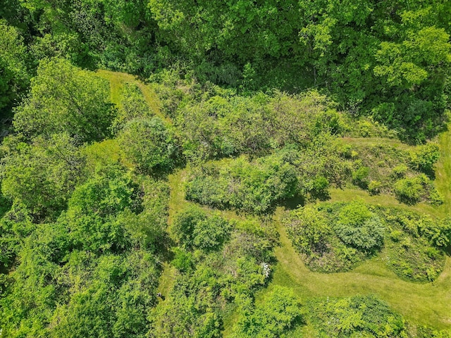 4217 Caswell Rd, Johnstown, OH 43031 - aerial view