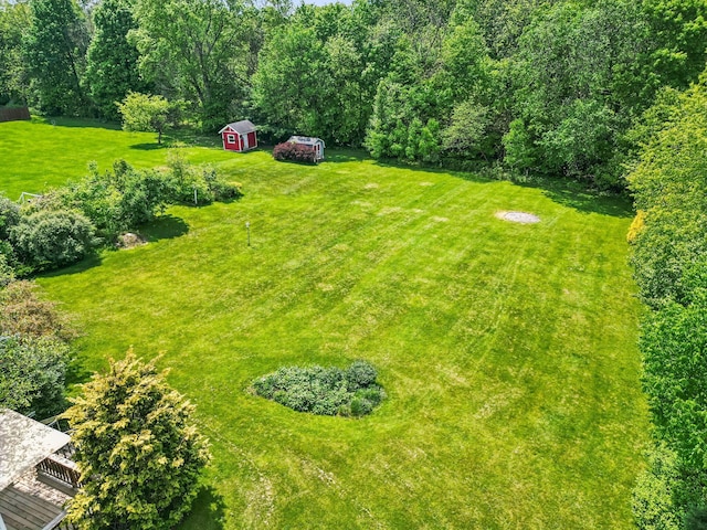 4217 Caswell Rd, Johnstown, OH 43031 - view of grassy yard featuring a storage unit and an outdoor structure