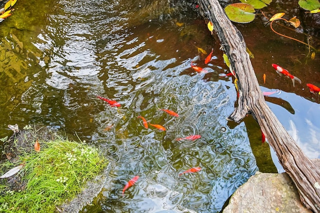 4217 Caswell Rd, Johnstown, OH 43031 - exterior view of a garden pond