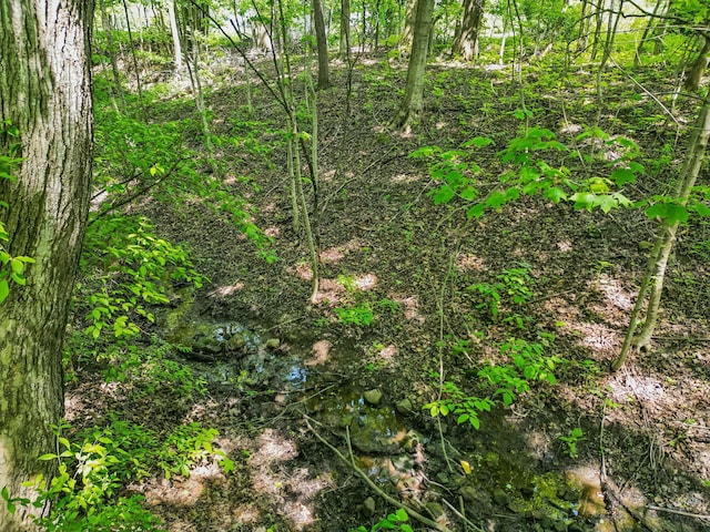 4217 Caswell Rd, Johnstown, OH 43031 - view of undeveloped land